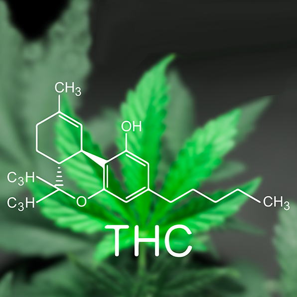 ASPEC® System: Fast, Accurate, and Reliable Quantification of THC and Metabolites from Blood in Forensics Testing with Fully-Automated SPE