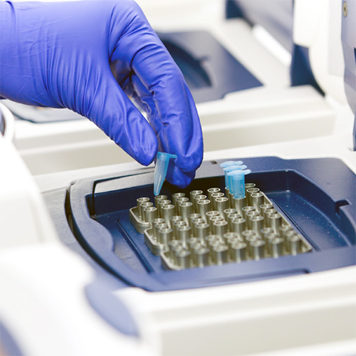 qPCR COVID-19 Testing Workflow