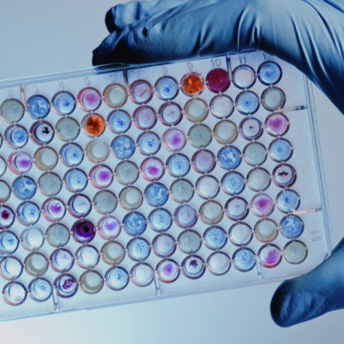 Increased Efficiency of the Coomassie (Bradford) Protein Assay for Protein Content Determination Using Simple Automated Liquid Handling