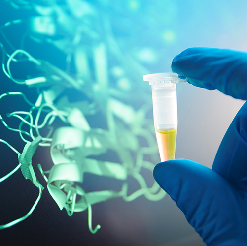 A Quick Guide to Magnetic Bead Extraction for Protein Isolation