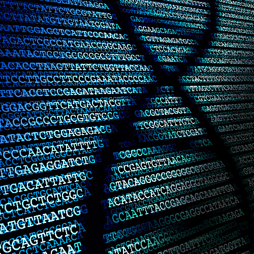 Nextera XT DNA Library Preparation on PIPETMAX®