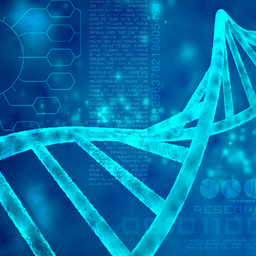 PIPETMAX® Automation of the Illumina Nextera XT DNA Library Preparation Kit