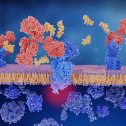 VERITY® 271 LCMS System: Mass-based Peptide Purification