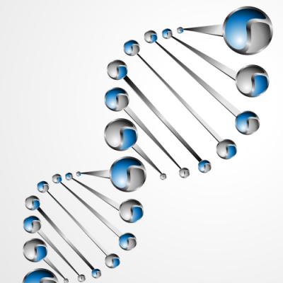 Rapid purification of DNA fragments using Gilson EXTRACTMAN® and Macherey Nagel NucleoMag® PCR