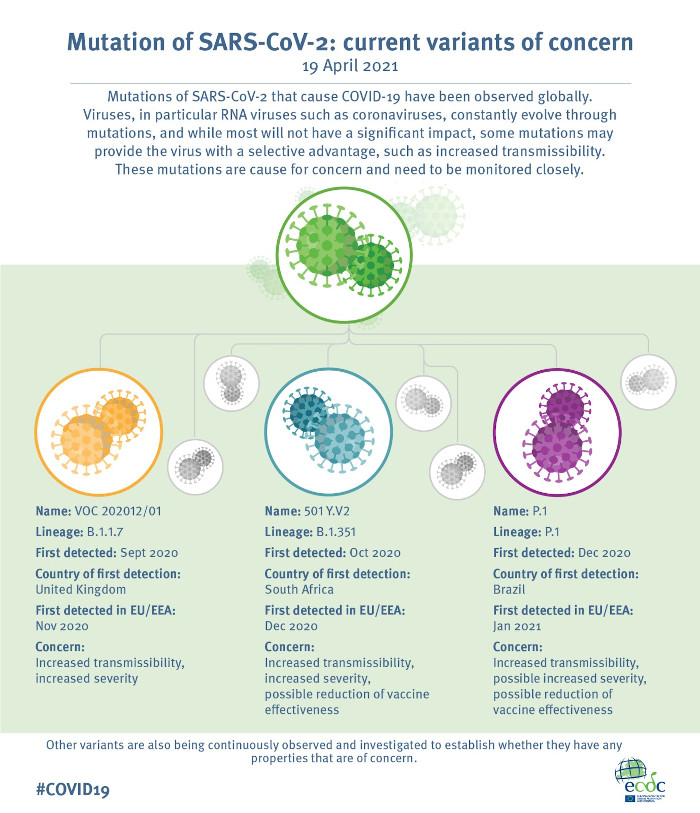 Diagram showing the lineage of SARS-CoV-2 variants with selective advantages